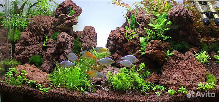 Эко Грунт Проппант, Лава, Коряги, Трубки для сомов