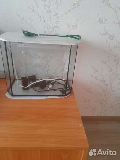 Аквариум