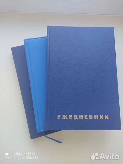 Ежедневник недатированный