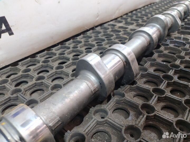 Распредвал Man TGA, Man TGS, Man TGX