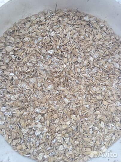 Зерносмесь плющенная