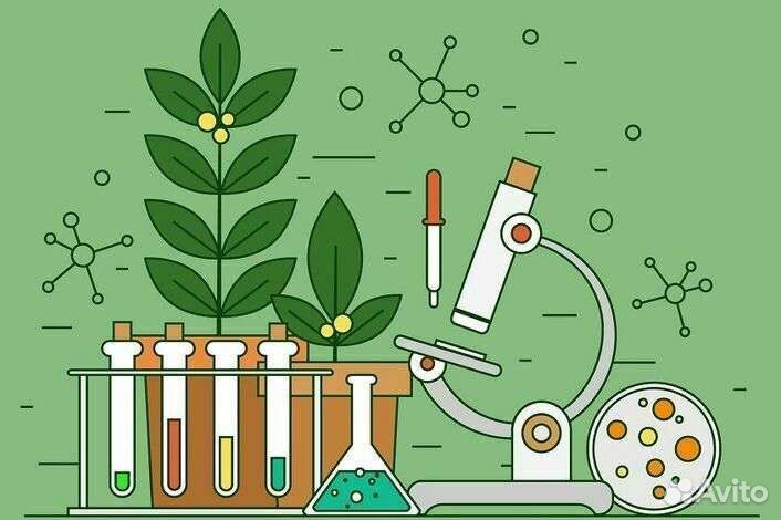 Репетитор по биологии огэ и егэ онлайн