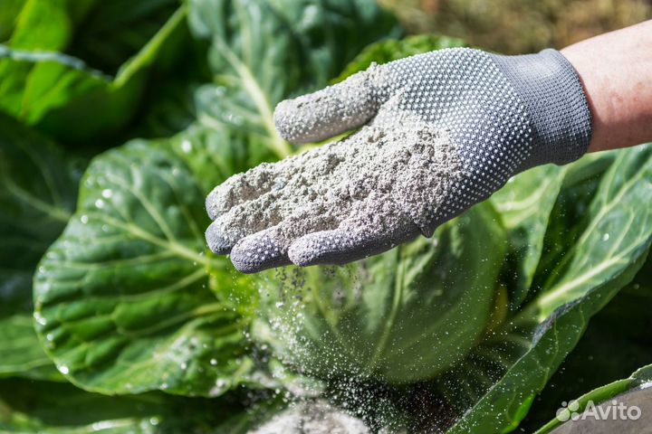 Зола древесная