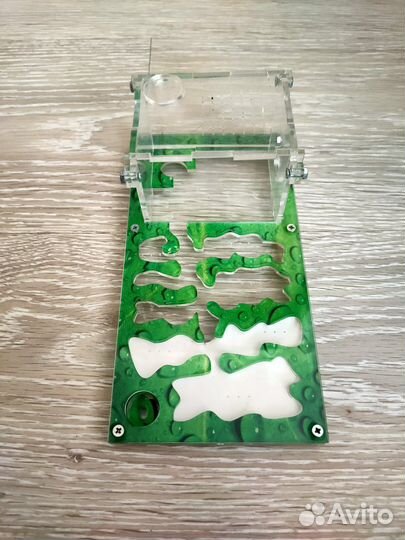 Муравьиная ферма