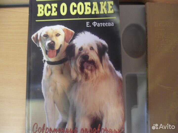 Фатеева Е. Всё о собаке