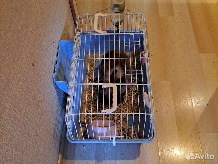 Клетка для кролика