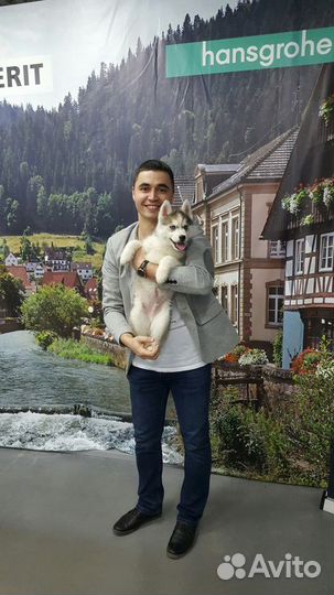 Создание и Продвижение сайтов на WordPress