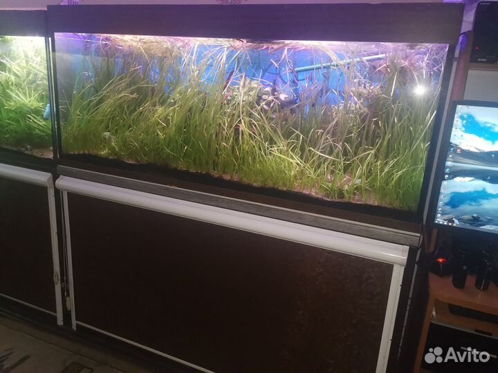 Аквариум с тумбой бу