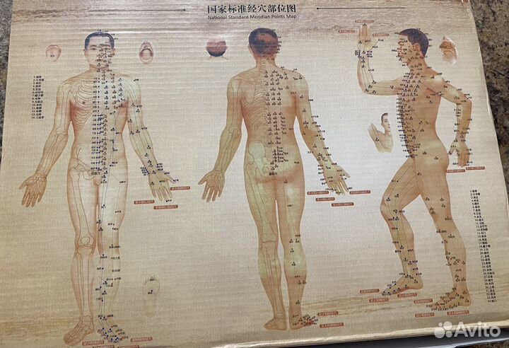 Вакуумные банки для массажа bolikim 28 штук