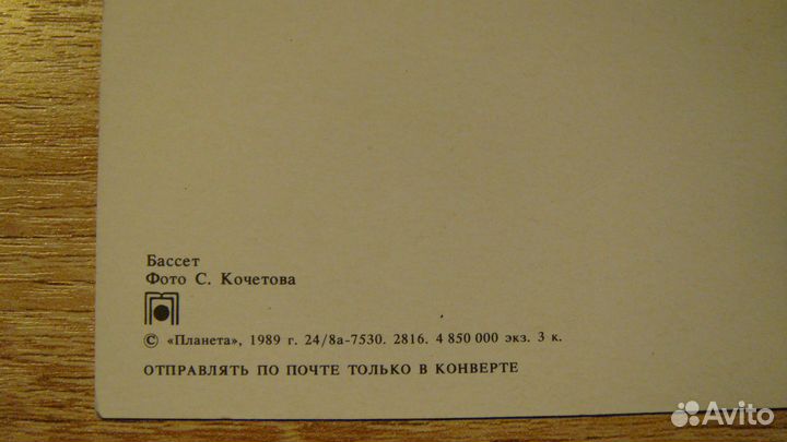 Фотооткрытка 