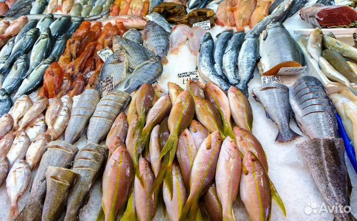 Готовый бизнес с доходом – рыбный магазин