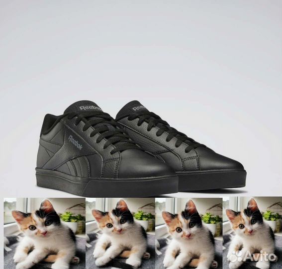 Кросовки Котёнки, Reebok (40-46.5)
