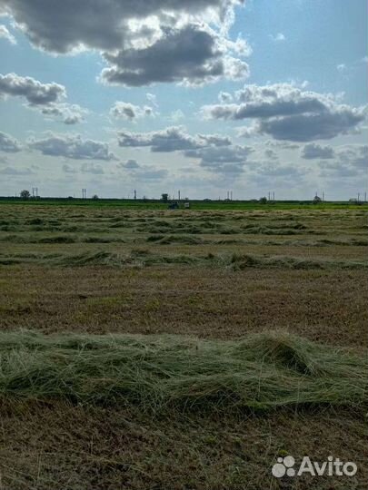 Сено в тюках
