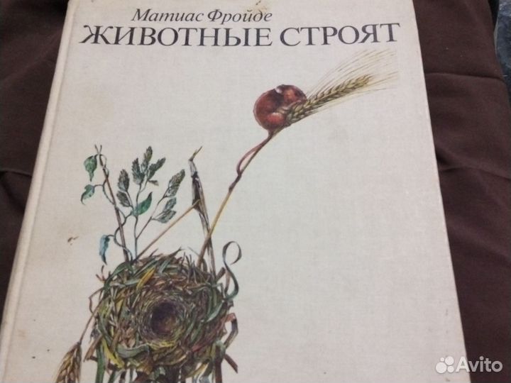 Животные строят , автор Матиас фройде