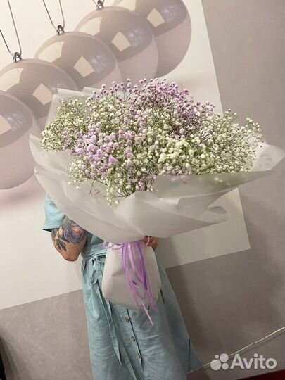 Гипсофила, букет цветов, живые цветы