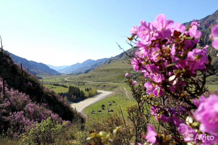 Продам готовый бизнес (действующая база отдыха)