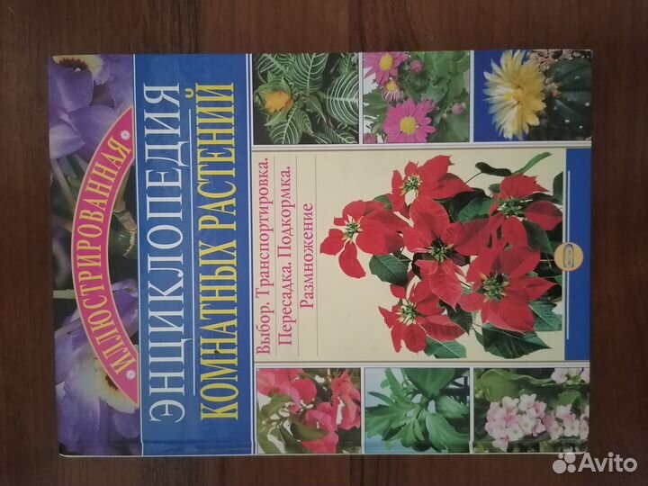 Книга о комнатных растениях