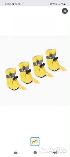 Ботинки для маленьких собак