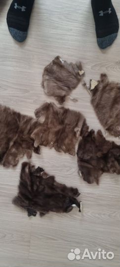 Шкурка норки 8 шт. Песец 1 шт, нутрия 40 шт