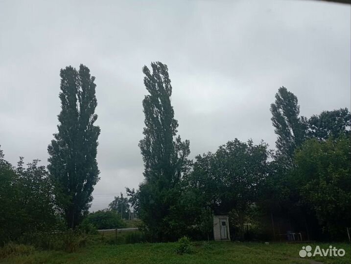 Разнорабочий