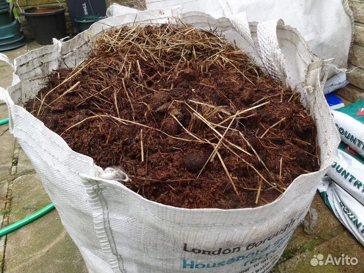 Конский навоз