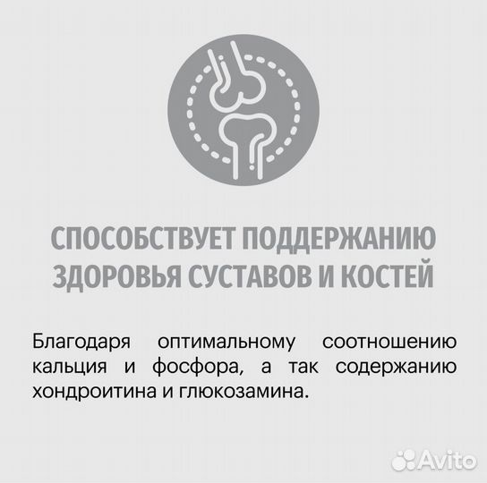 Сухой корм для беременных кошек и котят
