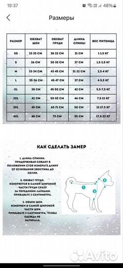 Костюм для собаки (дождевик)