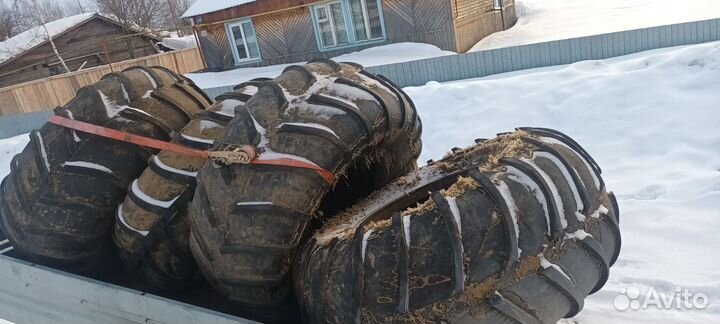 Резина ободрыши кразовские
