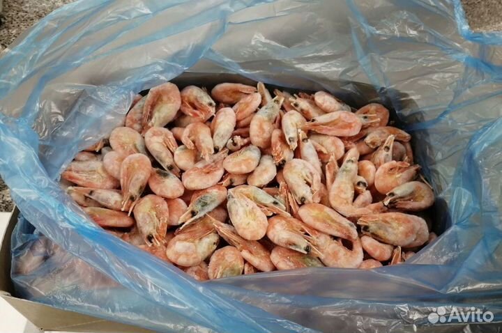 Креветки Северные 70 90 оптом