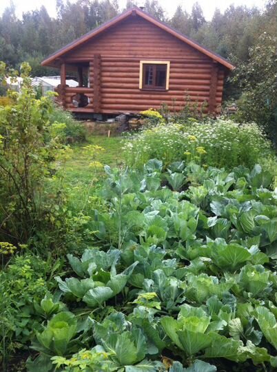 Дом 108,5 м² на участке 12 сот.