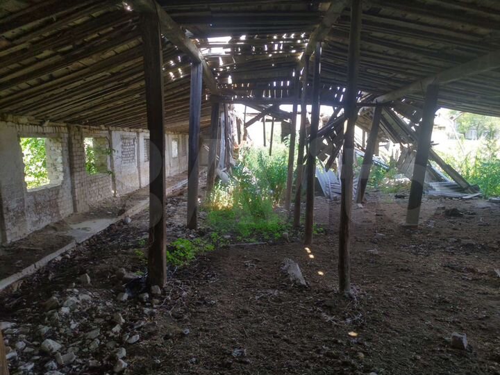 Участок 26,1 сот. (СНТ, ДНП)