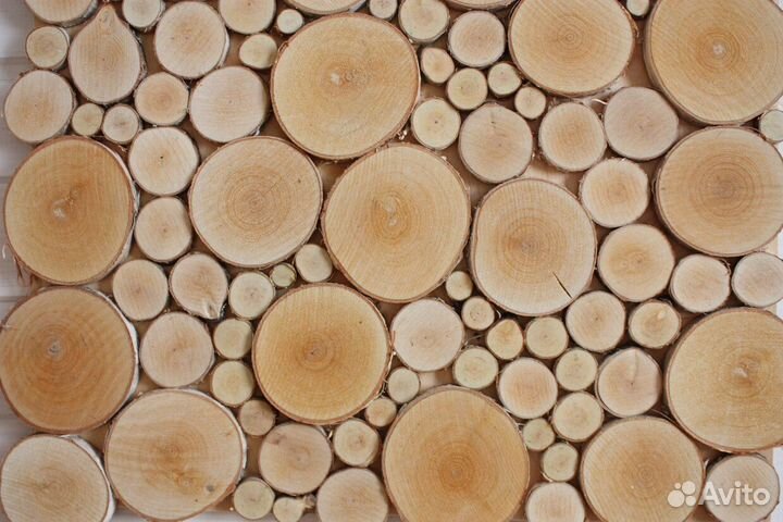 Слэб дерева и спилы