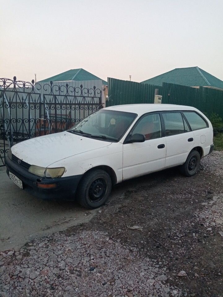 Toyota Corolla: фото владельца