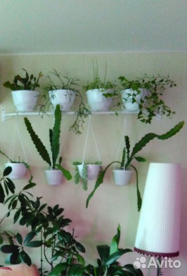 Полка настенная для цветов