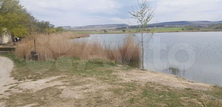 Участок 53 сот. (СНТ, ДНП)