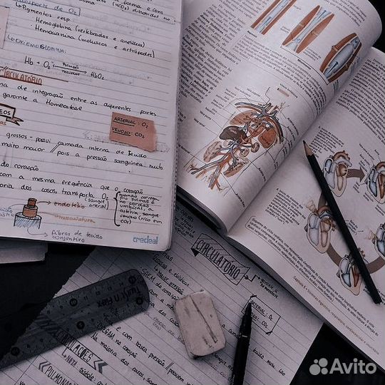 Репетитор по анатомии гистологии