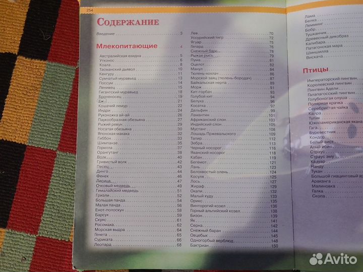 Детские книги энциклопедии