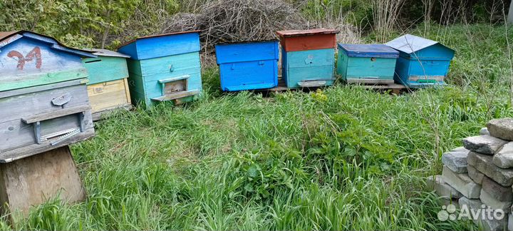 Ульи, подставки, пёлы