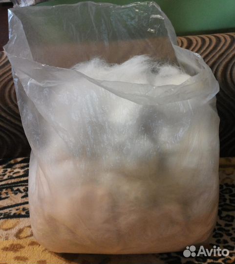 Собачья шерсть от белого лабрадора