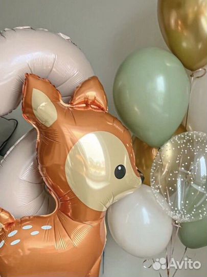 Воздушные шары Сосново, Раздолье, Приозерский р-н