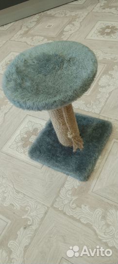 Когтеточка для кошек новая