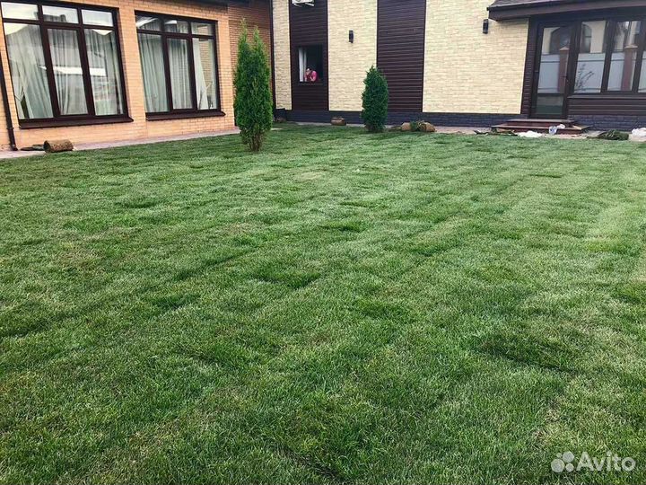 Укладка газона