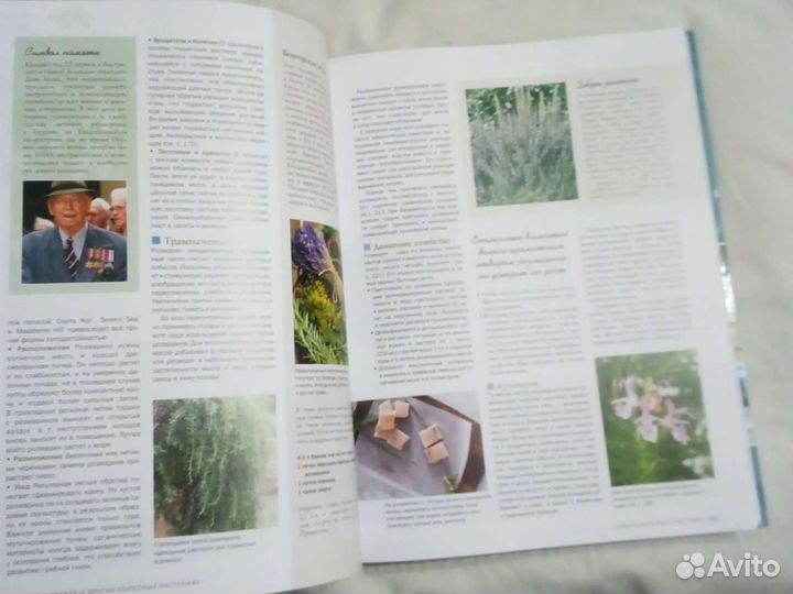 Все о травах и других полезных растениях