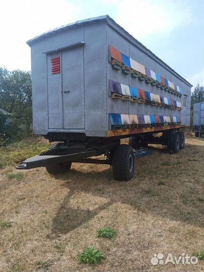 Пчелосемьи Бакфас ф1