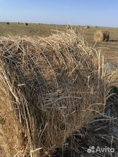 Сено луговое