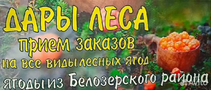 Принимаются заказы на ягоды морошка