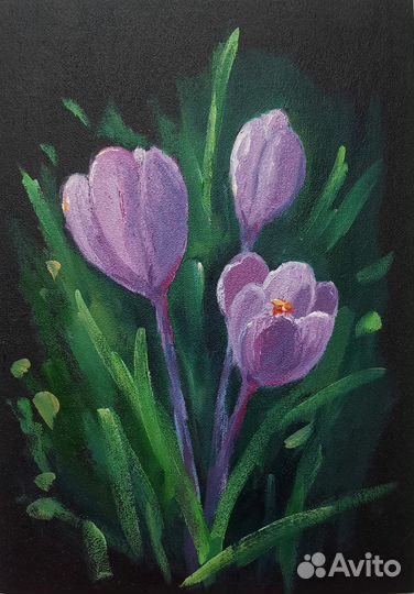 Картины маслом Картины с цветами Черный фон