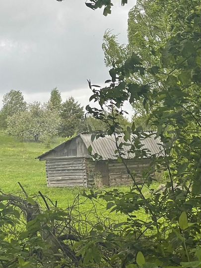 Участок 15 сот. (СНТ, ДНП)