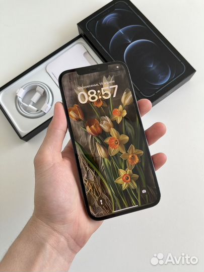 iPhone 12 Pro Max, 128 ГБ