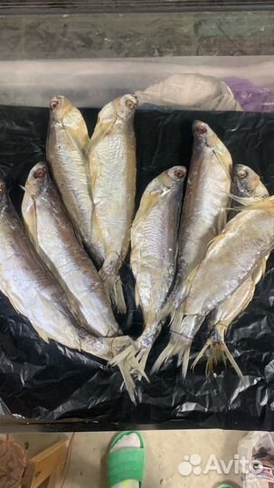 Лещ очень вкусный